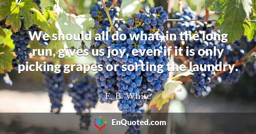 We should all do what, in the long run, gives us joy, even if it is only picking grapes or sorting the laundry.