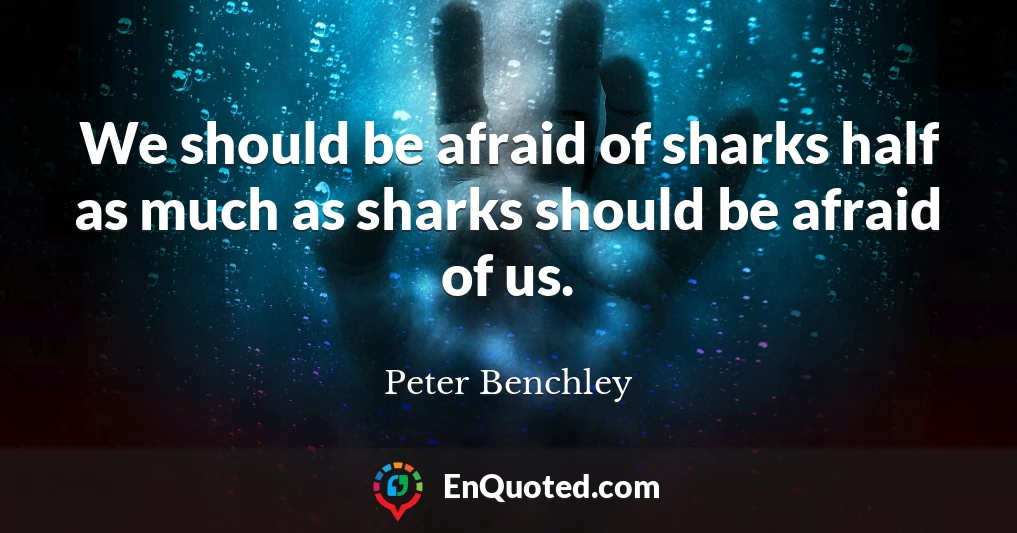 We should be afraid of sharks half as much as sharks should be afraid of us.