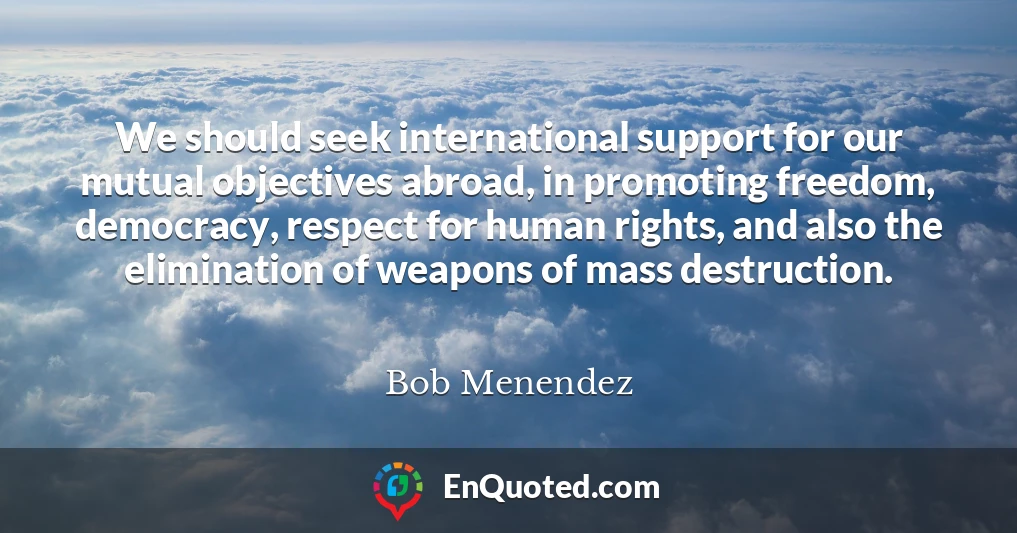 We should seek international support for our mutual objectives abroad, in promoting freedom, democracy, respect for human rights, and also the elimination of weapons of mass destruction.