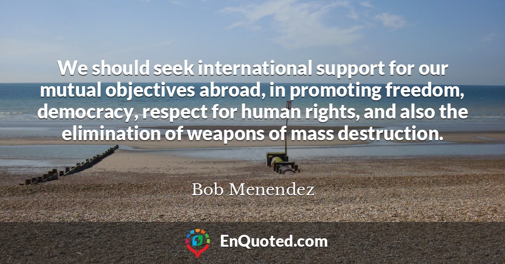 We should seek international support for our mutual objectives abroad, in promoting freedom, democracy, respect for human rights, and also the elimination of weapons of mass destruction.