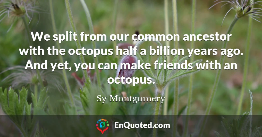 We split from our common ancestor with the octopus half a billion years ago. And yet, you can make friends with an octopus.