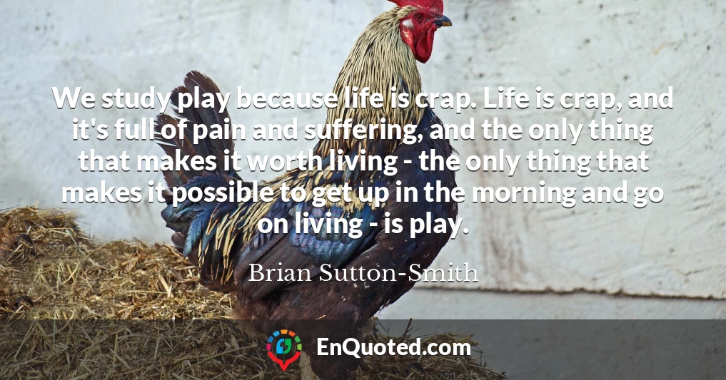 We study play because life is crap. Life is crap, and it's full of pain and suffering, and the only thing that makes it worth living - the only thing that makes it possible to get up in the morning and go on living - is play.