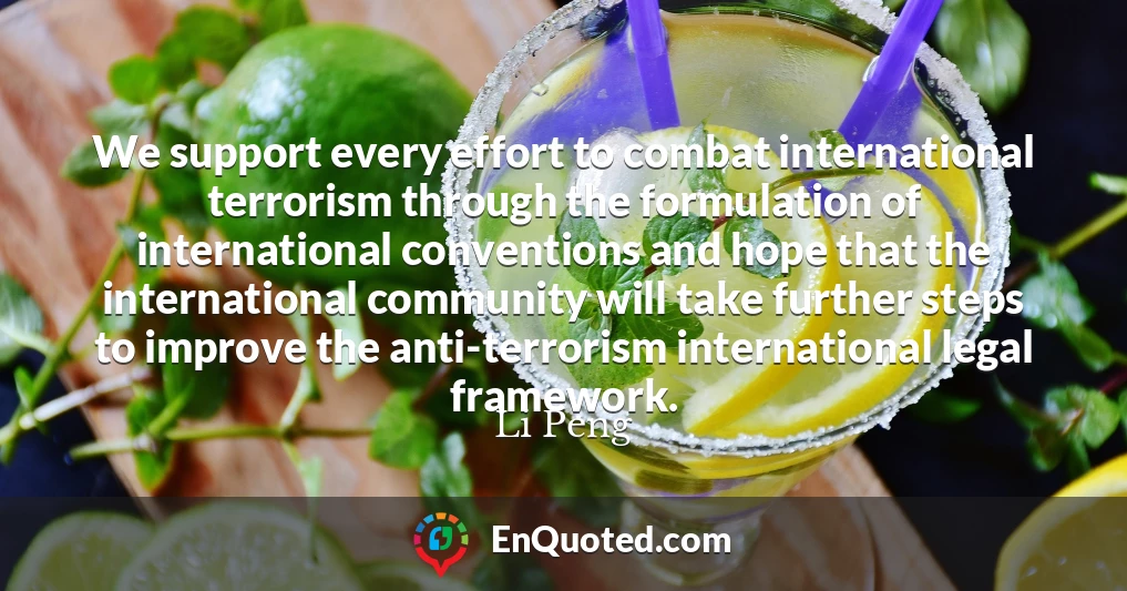 We support every effort to combat international terrorism through the formulation of international conventions and hope that the international community will take further steps to improve the anti-terrorism international legal framework.