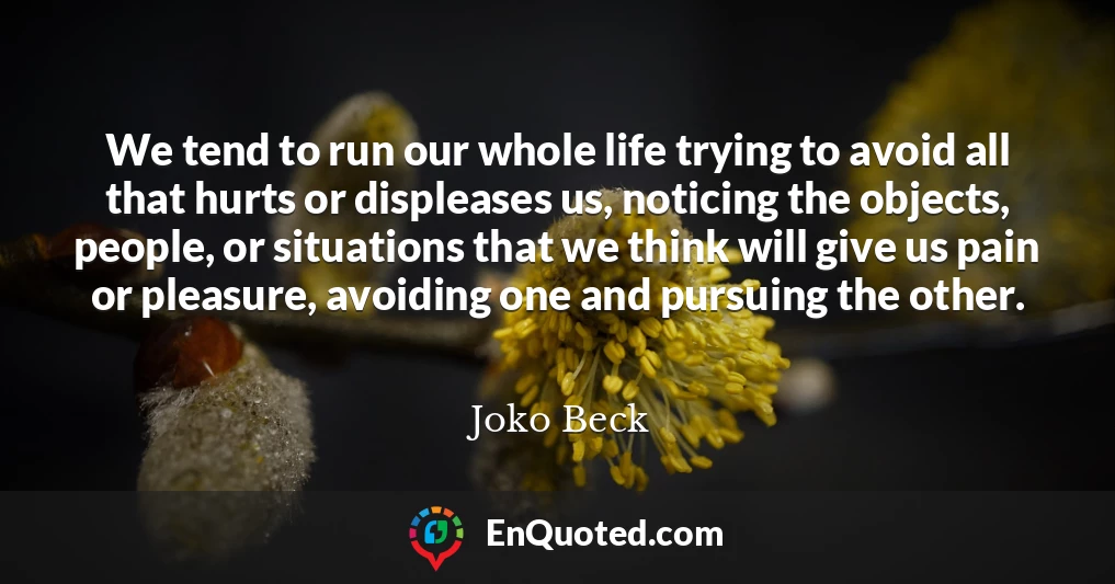 We tend to run our whole life trying to avoid all that hurts or displeases us, noticing the objects, people, or situations that we think will give us pain or pleasure, avoiding one and pursuing the other.