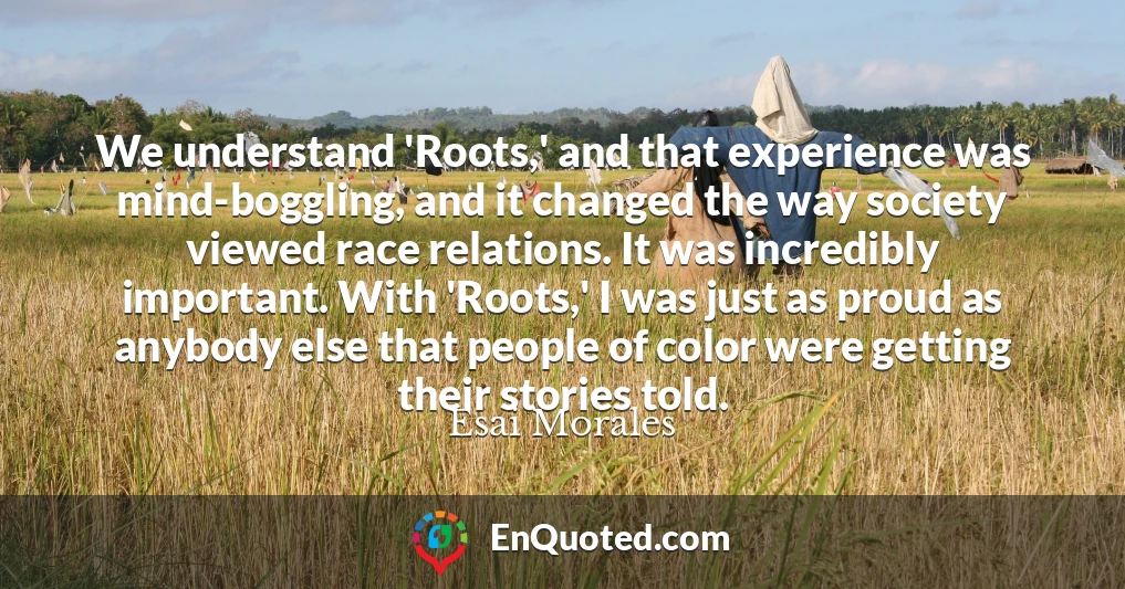 We understand 'Roots,' and that experience was mind-boggling, and it changed the way society viewed race relations. It was incredibly important. With 'Roots,' I was just as proud as anybody else that people of color were getting their stories told.