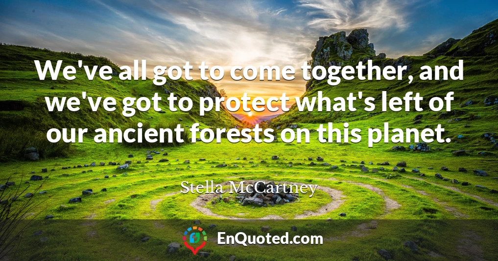 We've all got to come together, and we've got to protect what's left of our ancient forests on this planet.