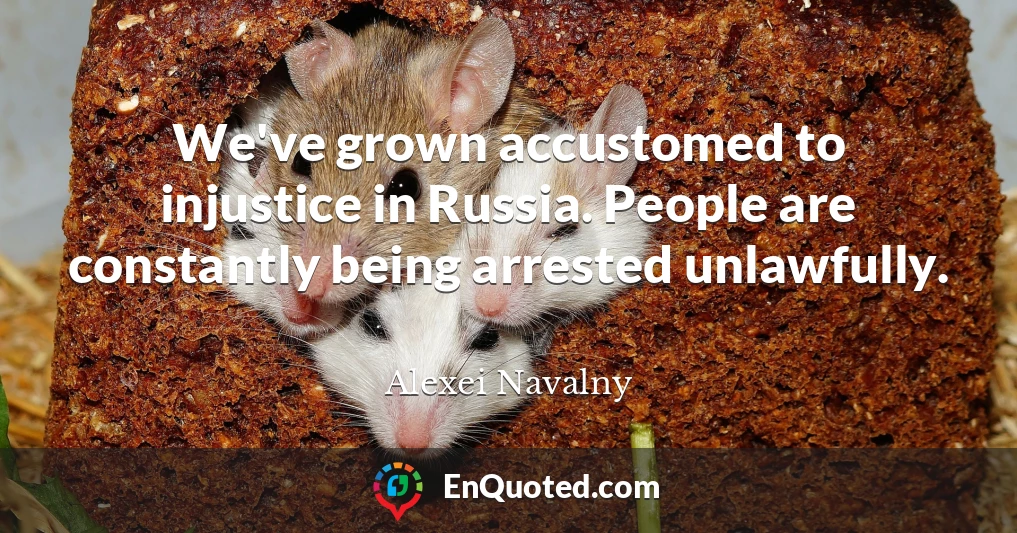 We've grown accustomed to injustice in Russia. People are constantly being arrested unlawfully.