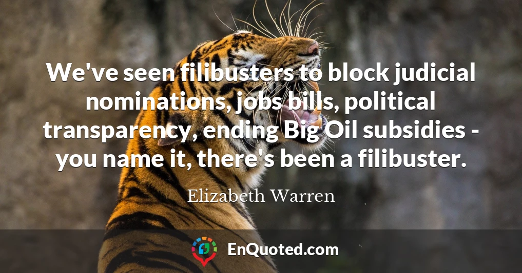 We've seen filibusters to block judicial nominations, jobs bills, political transparency, ending Big Oil subsidies - you name it, there's been a filibuster.