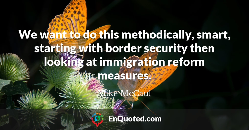 We want to do this methodically, smart, starting with border security then looking at immigration reform measures.