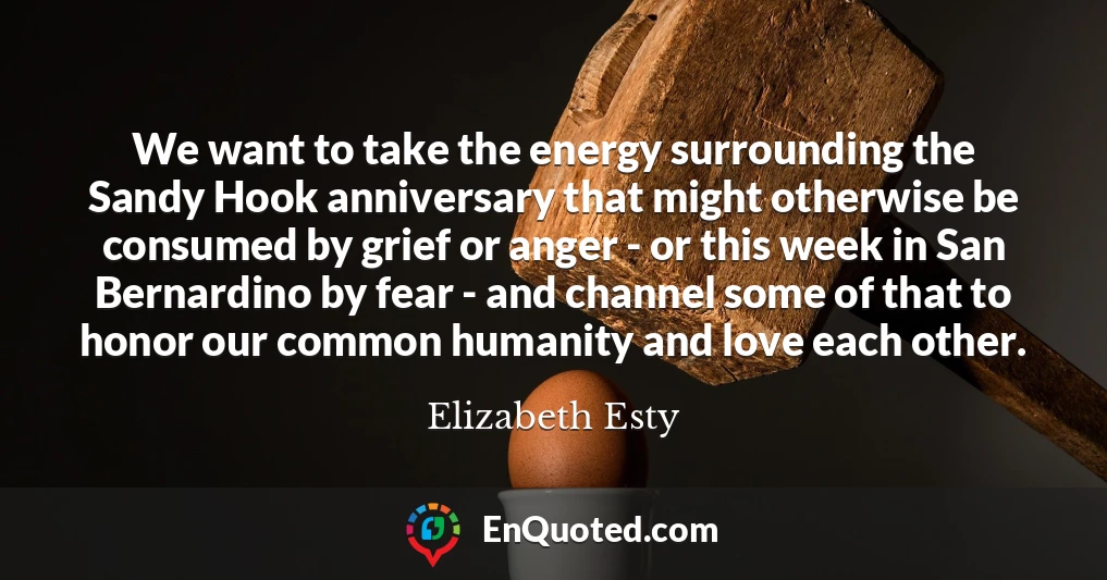 We want to take the energy surrounding the Sandy Hook anniversary that might otherwise be consumed by grief or anger - or this week in San Bernardino by fear - and channel some of that to honor our common humanity and love each other.