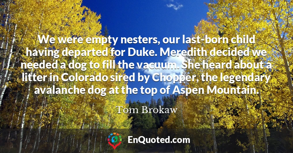 We were empty nesters, our last-born child having departed for Duke. Meredith decided we needed a dog to fill the vacuum. She heard about a litter in Colorado sired by Chopper, the legendary avalanche dog at the top of Aspen Mountain.