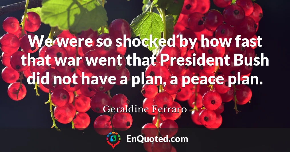 We were so shocked by how fast that war went that President Bush did not have a plan, a peace plan.