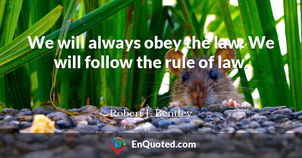 We will always obey the law. We will follow the rule of law.