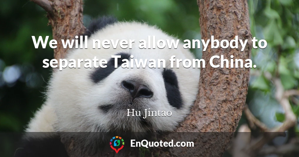 We will never allow anybody to separate Taiwan from China.