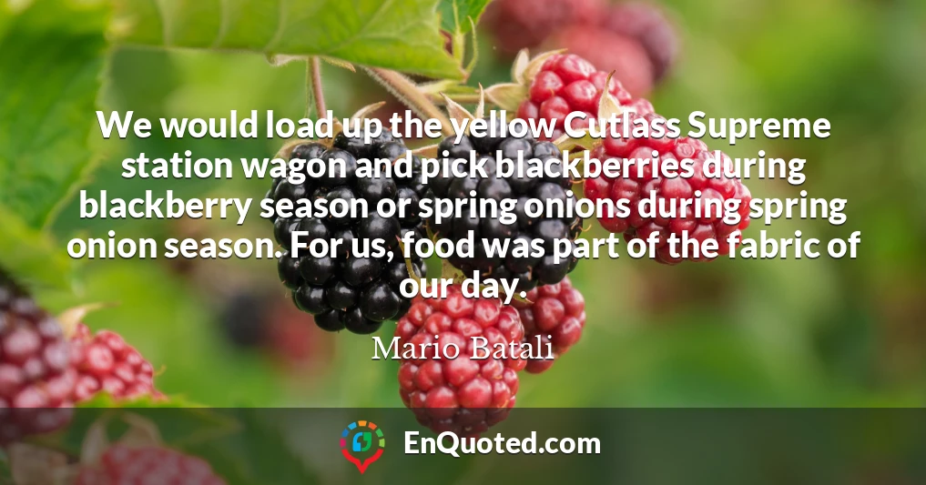 We would load up the yellow Cutlass Supreme station wagon and pick blackberries during blackberry season or spring onions during spring onion season. For us, food was part of the fabric of our day.