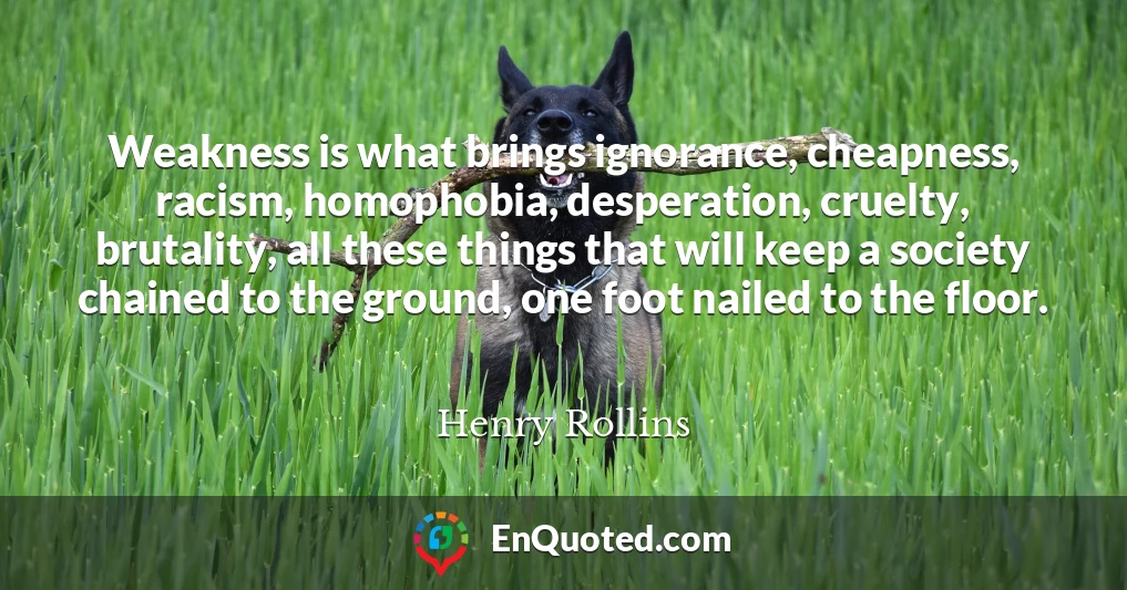 Weakness is what brings ignorance, cheapness, racism, homophobia, desperation, cruelty, brutality, all these things that will keep a society chained to the ground, one foot nailed to the floor.