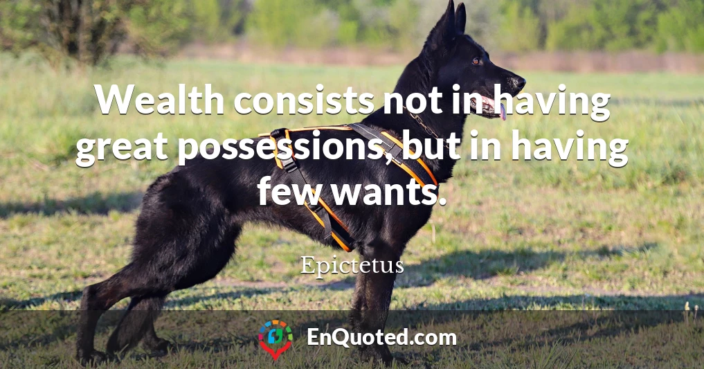 Wealth consists not in having great possessions, but in having few wants.