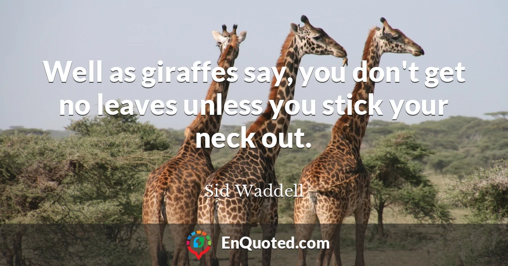 Well as giraffes say, you don't get no leaves unless you stick your neck out.
