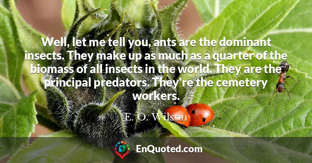 Well, let me tell you, ants are the dominant insects. They make up as much as a quarter of the biomass of all insects in the world. They are the principal predators. They're the cemetery workers.