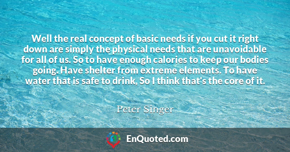Well the real concept of basic needs if you cut it right down are simply the physical needs that are unavoidable for all of us. So to have enough calories to keep our bodies going. Have shelter from extreme elements. To have water that is safe to drink, So I think that's the core of it.