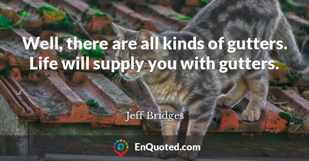 Well, there are all kinds of gutters. Life will supply you with gutters.