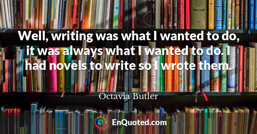 Well, writing was what I wanted to do, it was always what I wanted to do. I had novels to write so I wrote them.