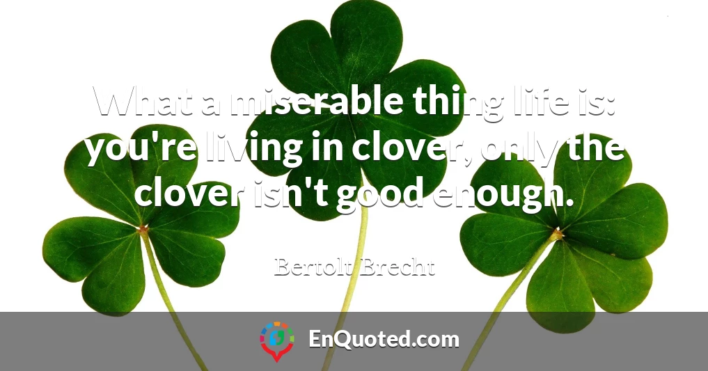 What a miserable thing life is: you're living in clover, only the clover isn't good enough.