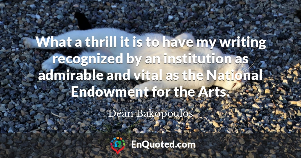 What a thrill it is to have my writing recognized by an institution as admirable and vital as the National Endowment for the Arts.