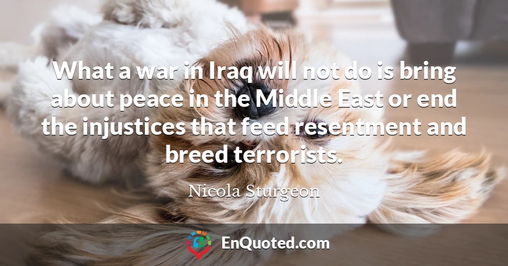 What a war in Iraq will not do is bring about peace in the Middle East or end the injustices that feed resentment and breed terrorists.