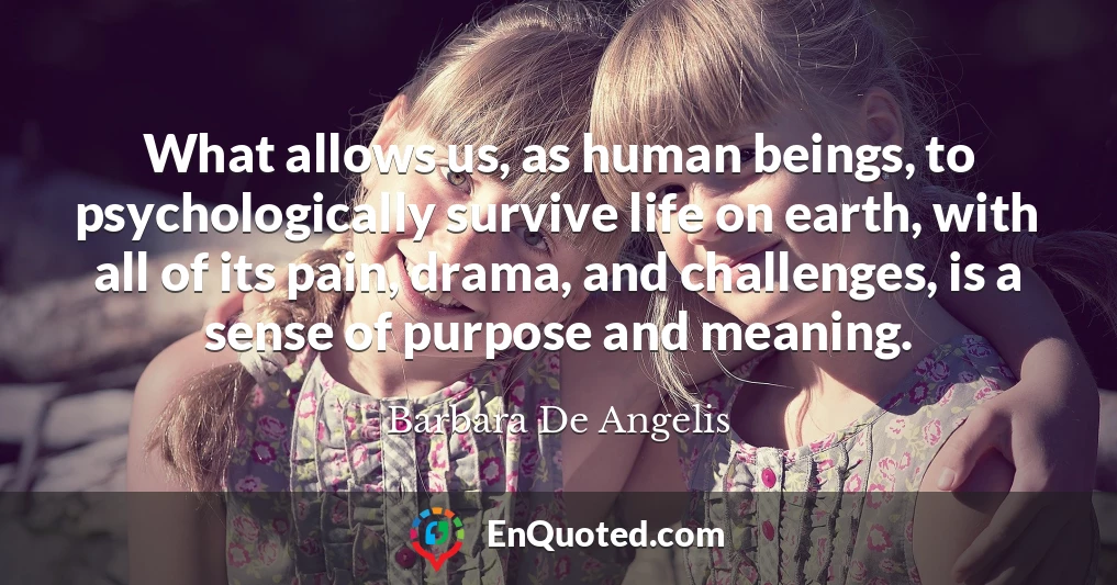 What allows us, as human beings, to psychologically survive life on earth, with all of its pain, drama, and challenges, is a sense of purpose and meaning.