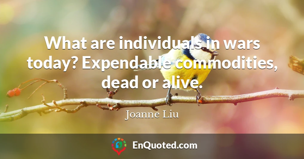 What are individuals in wars today? Expendable commodities, dead or alive.