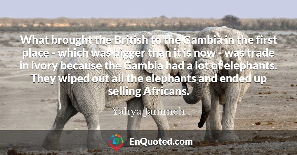 What brought the British to the Gambia in the first place - which was bigger than it is now - was trade in ivory because the Gambia had a lot of elephants. They wiped out all the elephants and ended up selling Africans.