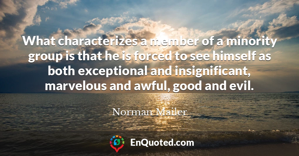 What characterizes a member of a minority group is that he is forced to see himself as both exceptional and insignificant, marvelous and awful, good and evil.