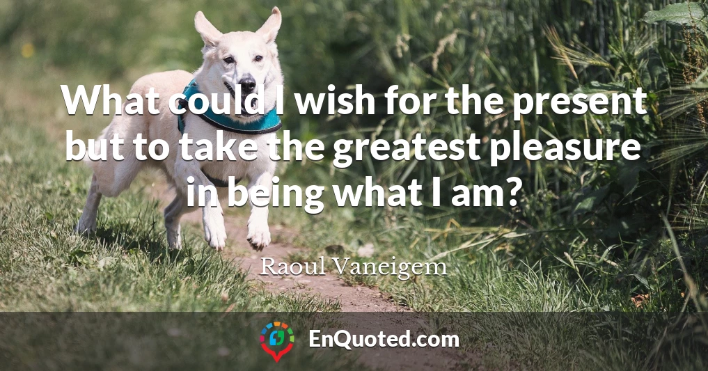 What could I wish for the present but to take the greatest pleasure in being what I am?