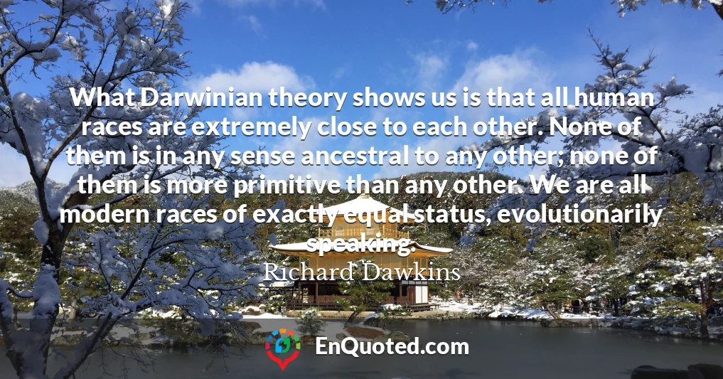 What Darwinian theory shows us is that all human races are extremely close to each other. None of them is in any sense ancestral to any other; none of them is more primitive than any other. We are all modern races of exactly equal status, evolutionarily speaking.