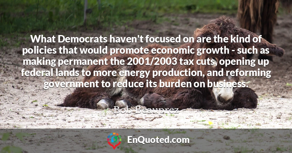 What Democrats haven't focused on are the kind of policies that would promote economic growth - such as making permanent the 2001/2003 tax cuts, opening up federal lands to more energy production, and reforming government to reduce its burden on business.