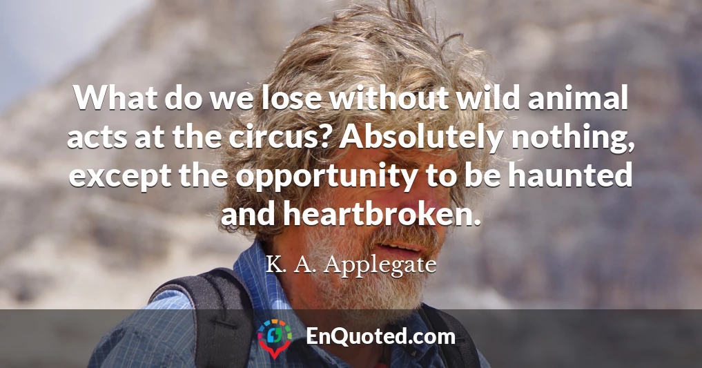 What do we lose without wild animal acts at the circus? Absolutely nothing, except the opportunity to be haunted and heartbroken.