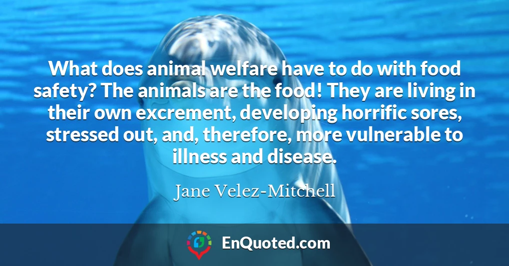 What does animal welfare have to do with food safety? The animals are the food! They are living in their own excrement, developing horrific sores, stressed out, and, therefore, more vulnerable to illness and disease.