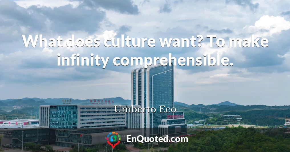 What does culture want? To make infinity comprehensible.