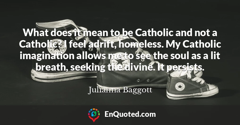 What does it mean to be Catholic and not a Catholic? I feel adrift, homeless. My Catholic imagination allows me to see the soul as a lit breath, seeking the divine. It persists.