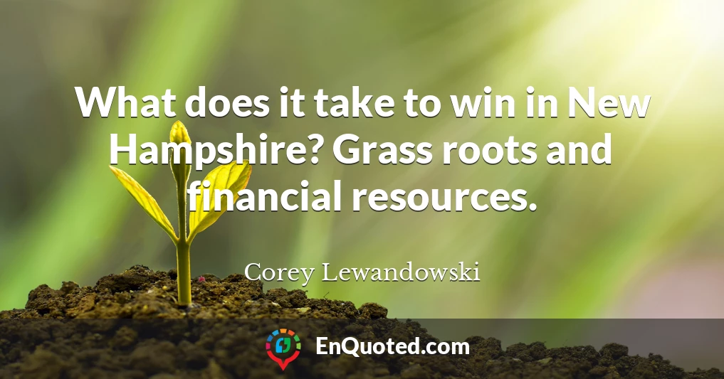 What does it take to win in New Hampshire? Grass roots and financial resources.