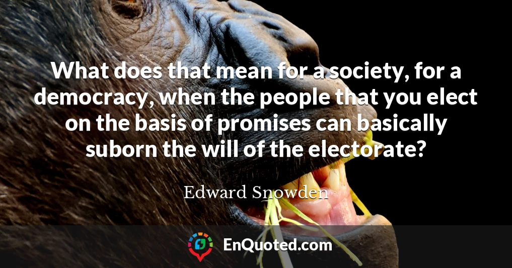 What does that mean for a society, for a democracy, when the people that you elect on the basis of promises can basically suborn the will of the electorate?