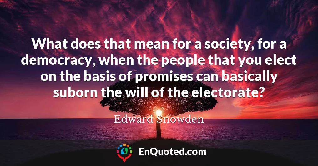 What does that mean for a society, for a democracy, when the people that you elect on the basis of promises can basically suborn the will of the electorate?