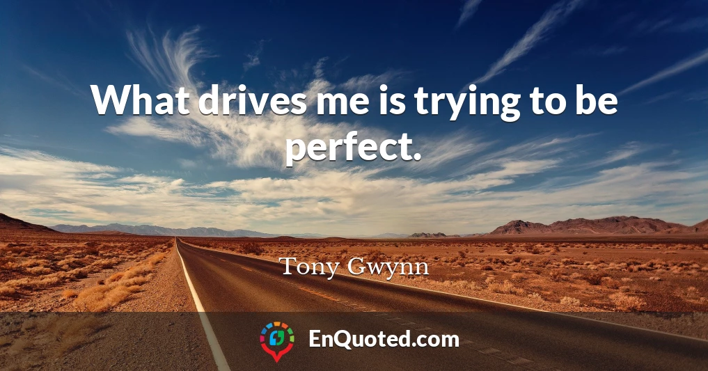 What drives me is trying to be perfect.