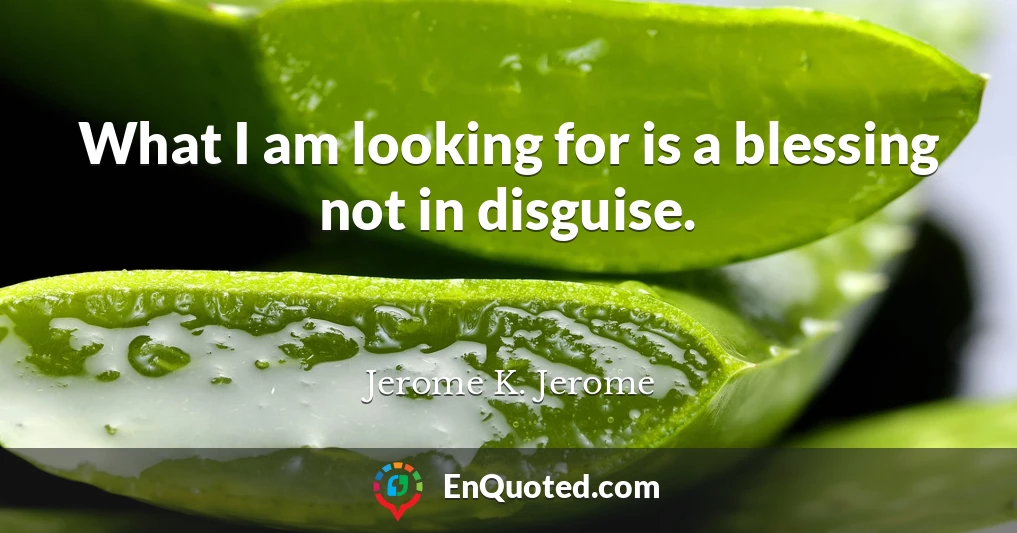 What I am looking for is a blessing not in disguise.