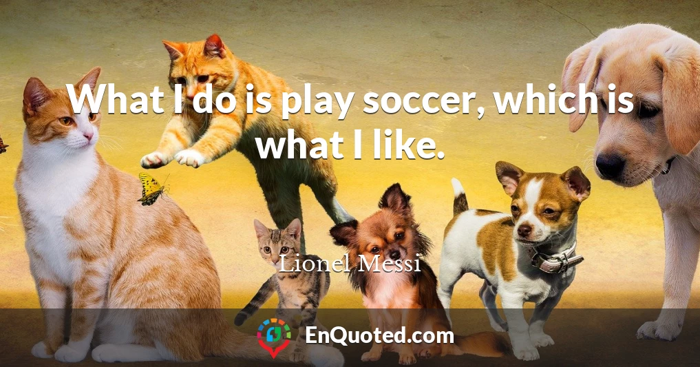 What I do is play soccer, which is what I like.