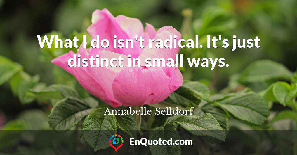 What I do isn't radical. It's just distinct in small ways.