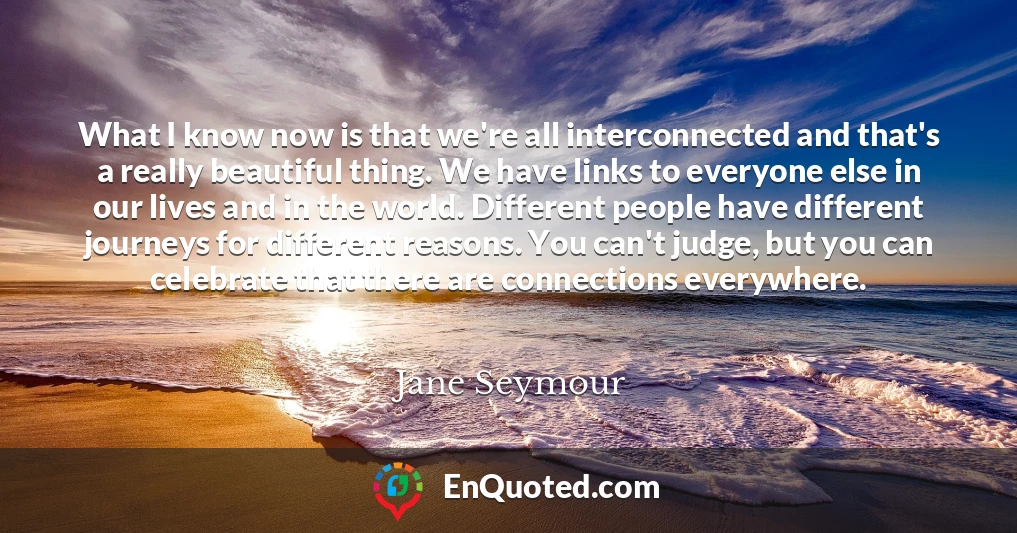 What I know now is that we're all interconnected and that's a really beautiful thing. We have links to everyone else in our lives and in the world. Different people have different journeys for different reasons. You can't judge, but you can celebrate that there are connections everywhere.