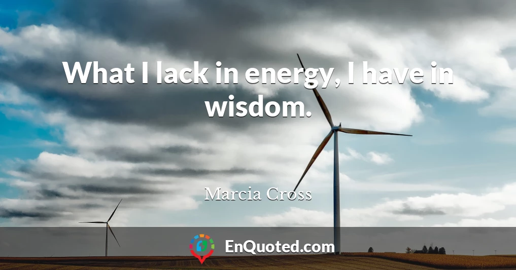What I lack in energy, I have in wisdom.
