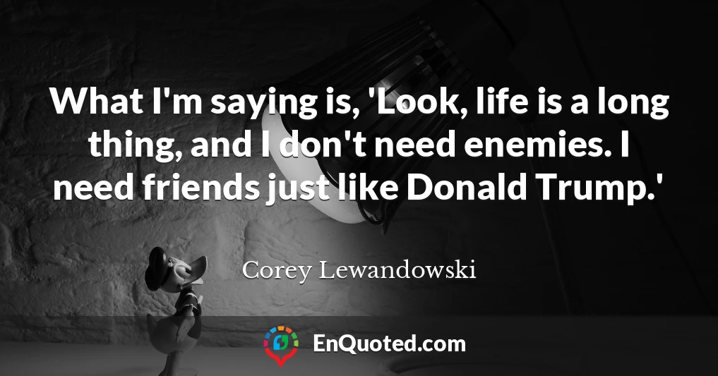 What I'm saying is, 'Look, life is a long thing, and I don't need enemies. I need friends just like Donald Trump.'